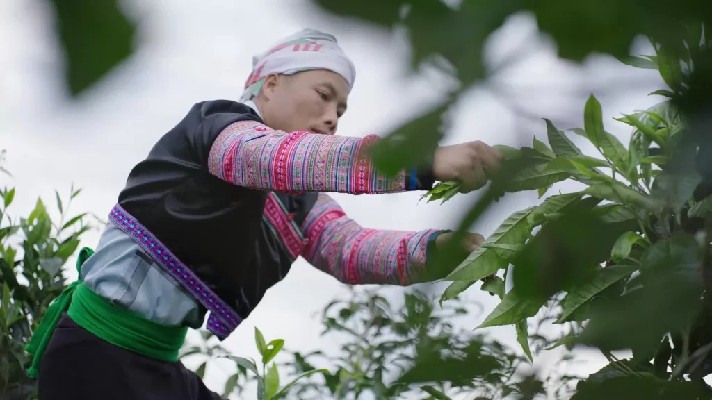 SUỐI GIÀNG CÓ GÌ CHƠI? NHỮNG TRẢI NGHIỆM KHIẾN DU KHÁCH MUỐN QUAY LẠI