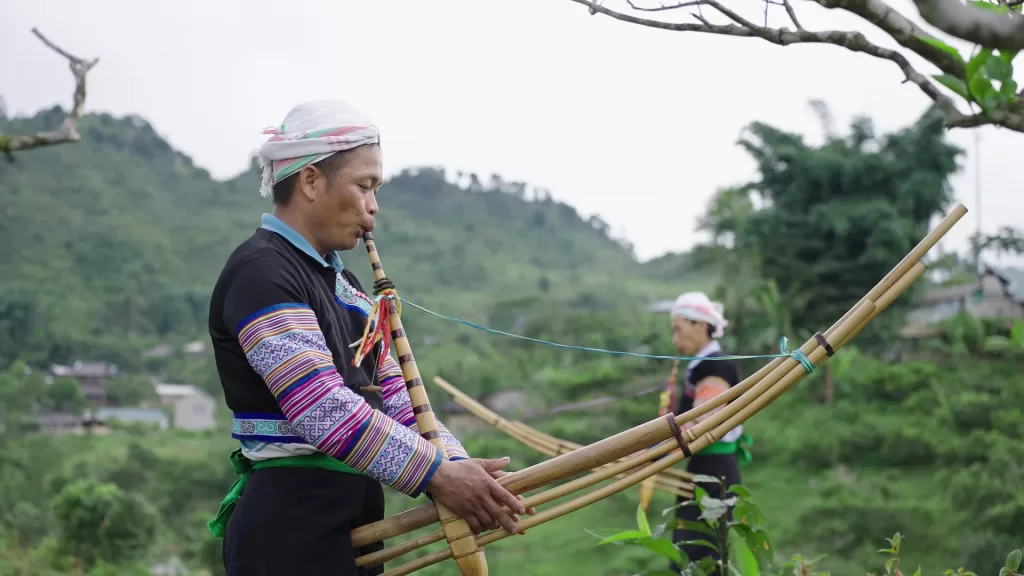 CHÈ SHAN TUYẾT SUỐI GIÀNG – TRẢI NGHIỆM VĂN HÓA TRÀ GIỮA RỪNG CHÈ CỔ THỤ